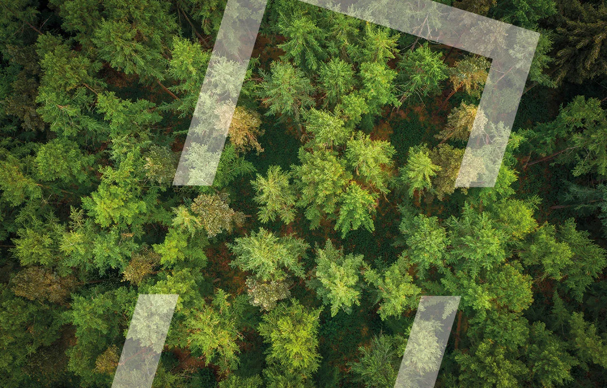 FSC certification